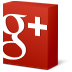 Google +